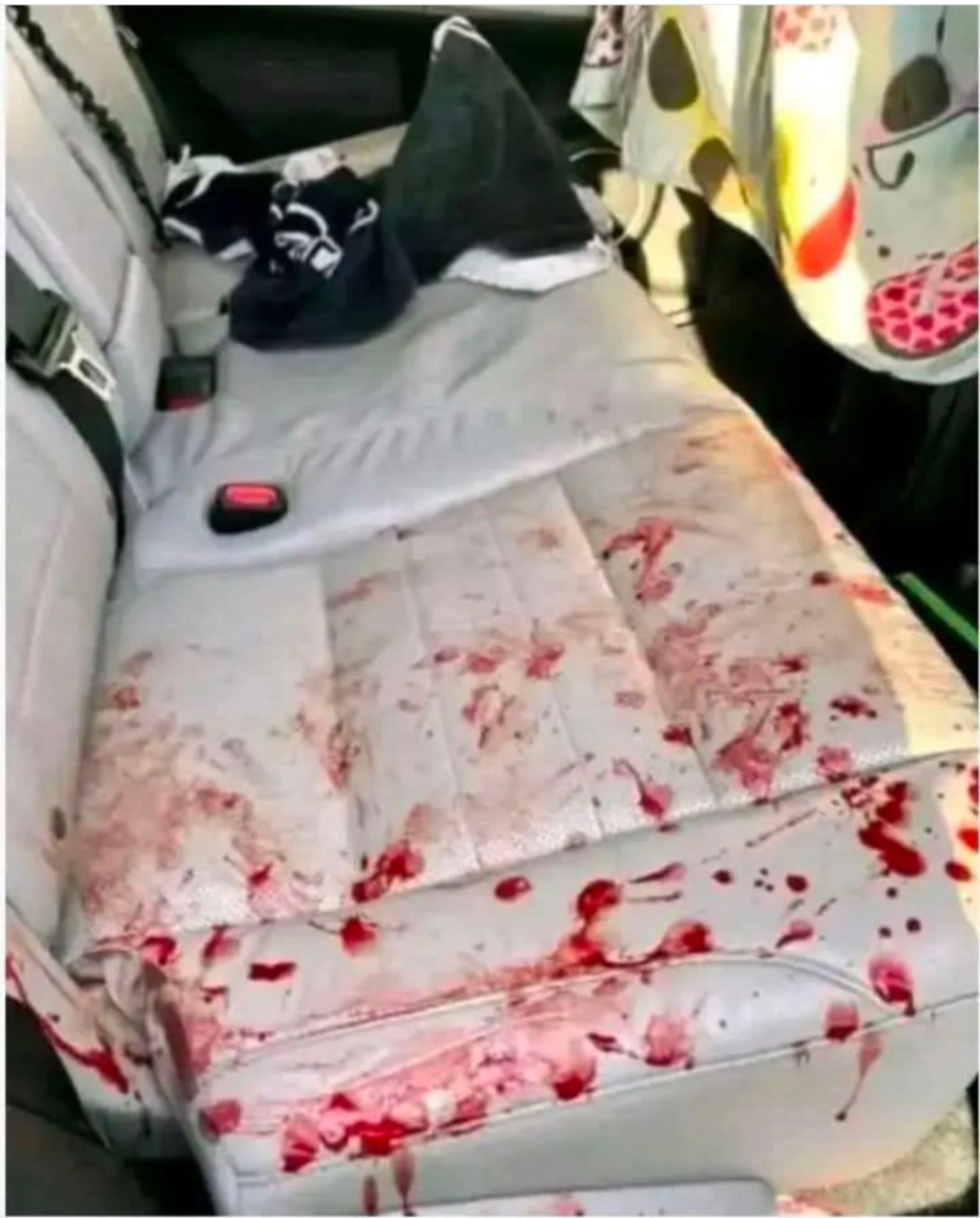 🚨BREAKING NEWS!! So they just found the celebrity’s car… See more